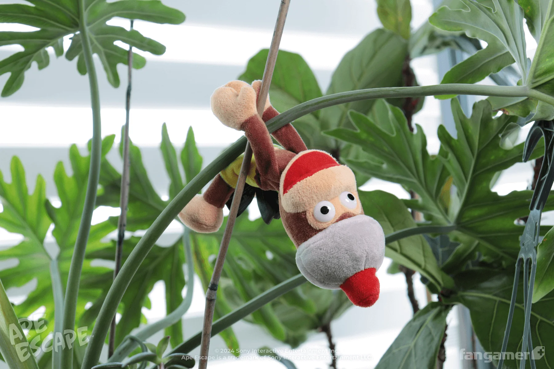 Pipo Monkey Plush - Image 7