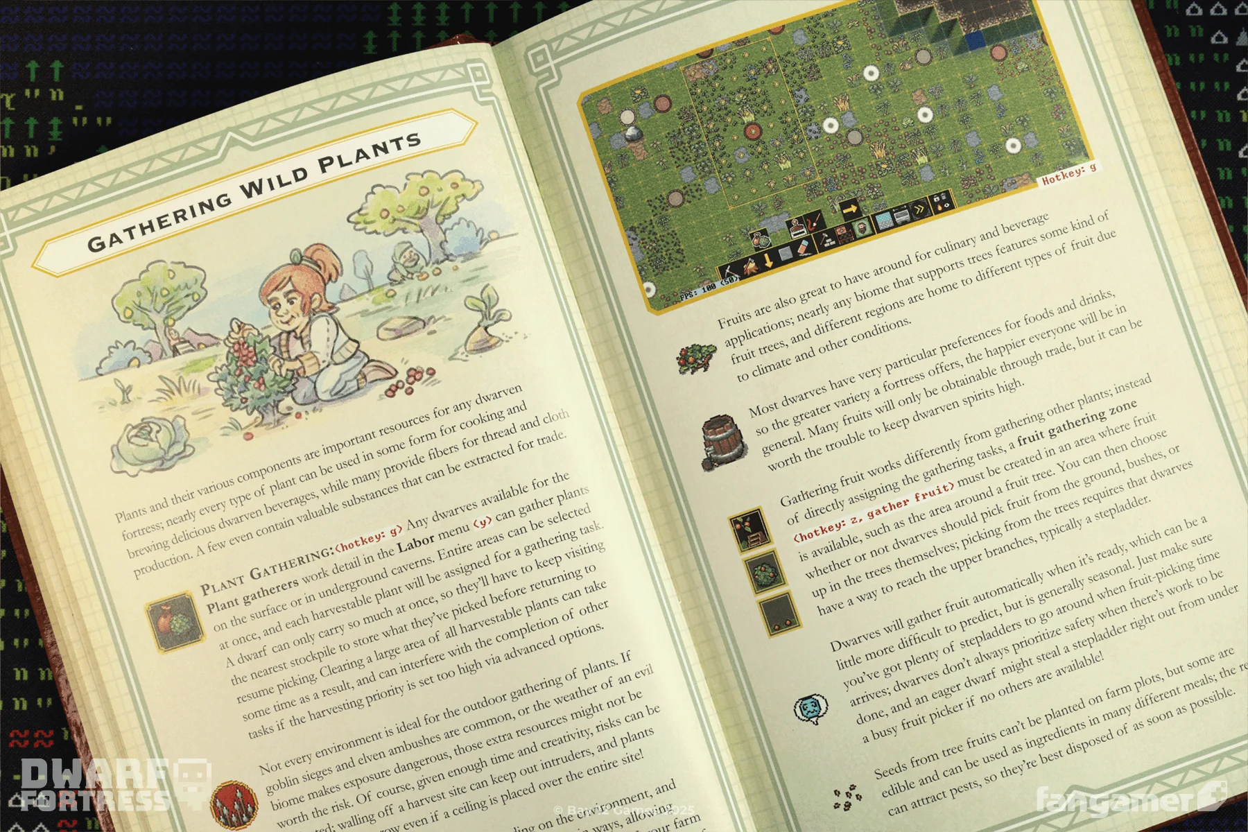 Dwarf Fortress Guidebook - Image 11