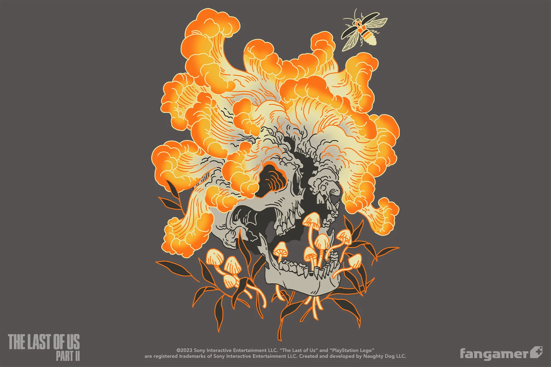 Cordyceps - Image 4