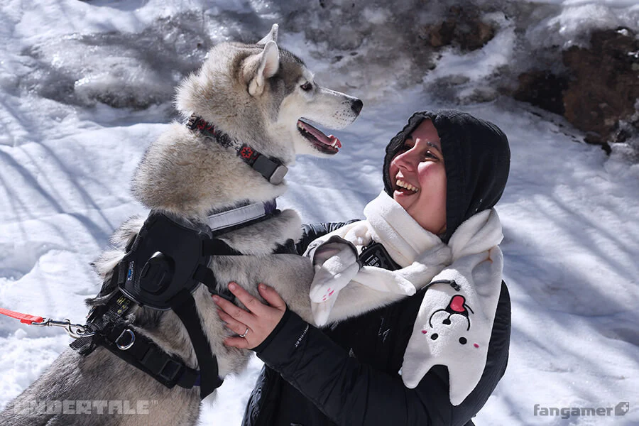 Lesser Dog Scarf - Image 6