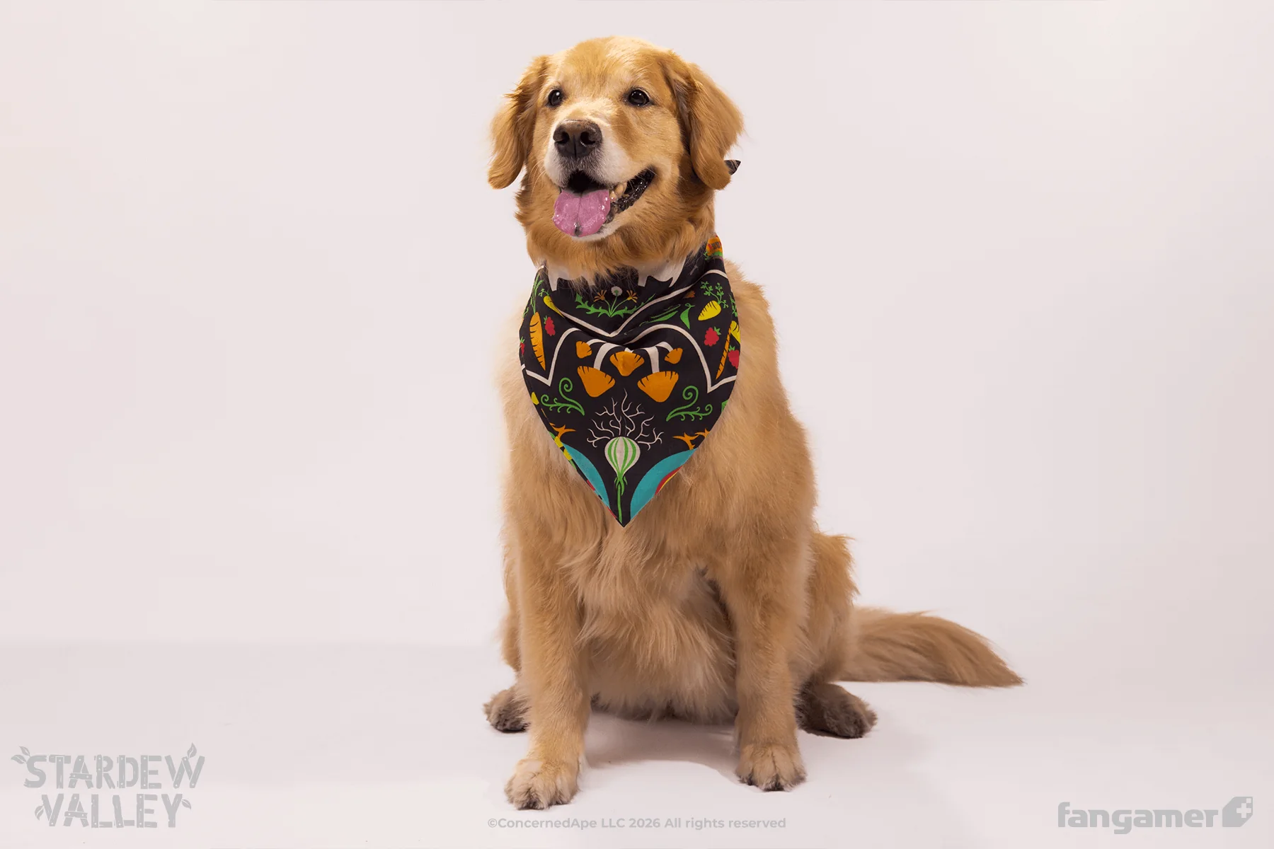 Folkloric Scarf - Image 10